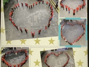 597877966 852684784337307 3574094129489365440 N