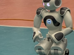 623249728 889210947351357 4859946937159228583 N