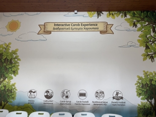 632451848 901451736127278 4214617505276378505 N