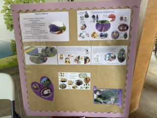 633216814 901451756127276 147261308059269614 N