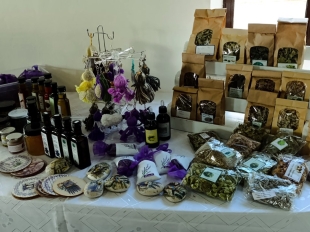 633577236 901451949460590 8143172208083309740 N