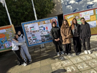 644262547 914785551460563 68152724768505595 N