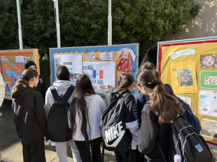 644281443 914786551460463 4913990765665705529 N