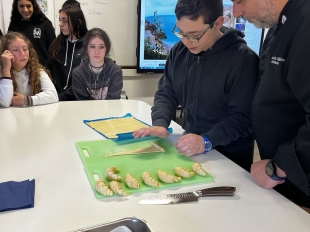 653362182 932290666376718 3853229430269049330 N