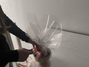 655923463 932289293043522 2571029964032197517 N